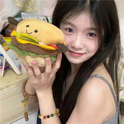 理想主义者